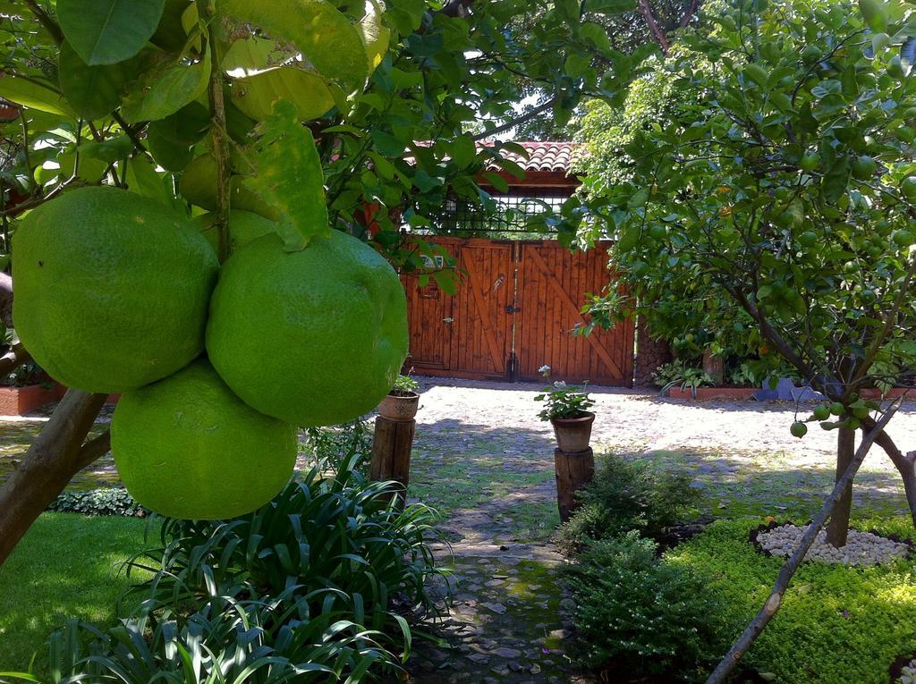 Bed and Breakfast Casa Navacoyan Malinalco Exterior foto
