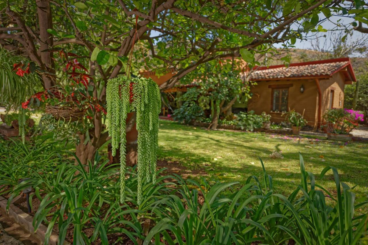 Bed and Breakfast Casa Navacoyan Malinalco Exterior foto